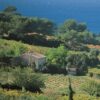 Les vins du Languedoc - 06 février COMPLET
